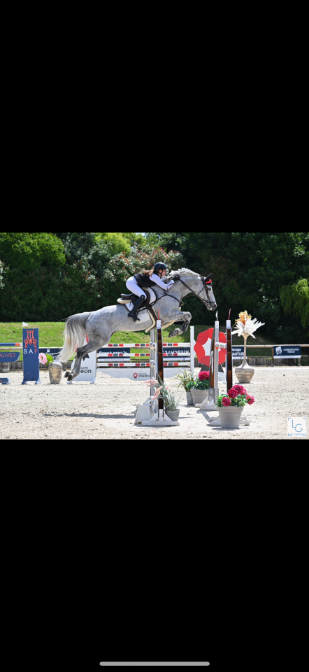 Cheval &agrave; vendre de 13 ans saute 1.40-45 