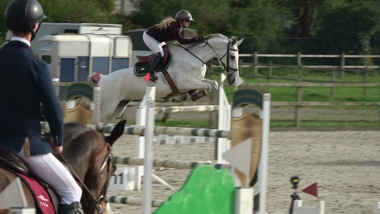 Jument d'exception en saut d'obstacles + excellent &eacute;lev