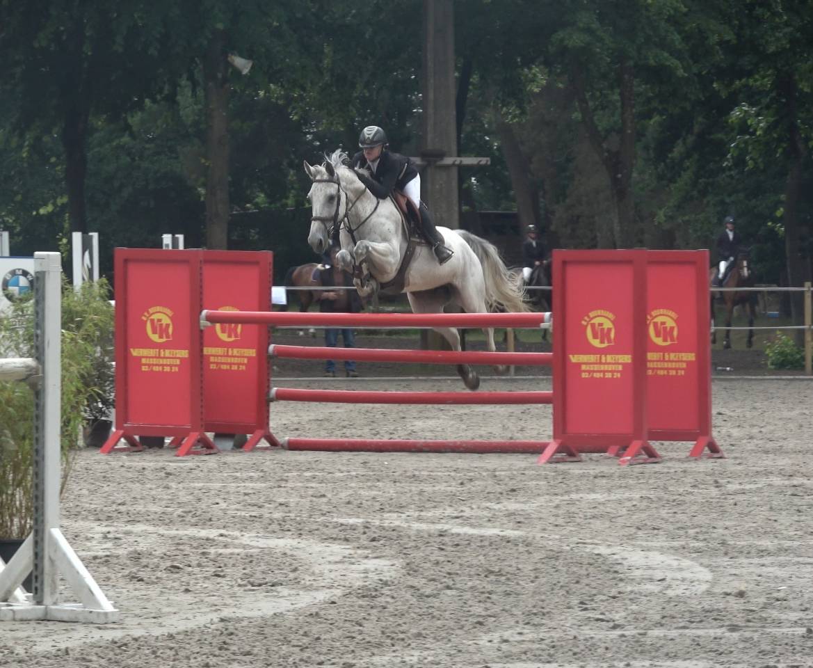 Jument d'exception en saut d'obstacles + excellent &eacute;lev