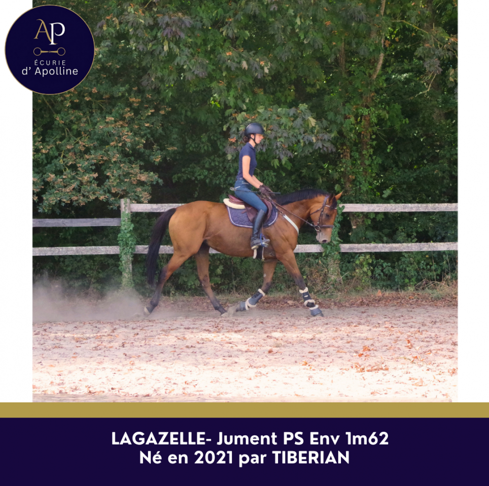 Jolie jument osseuse PS 5 ans 