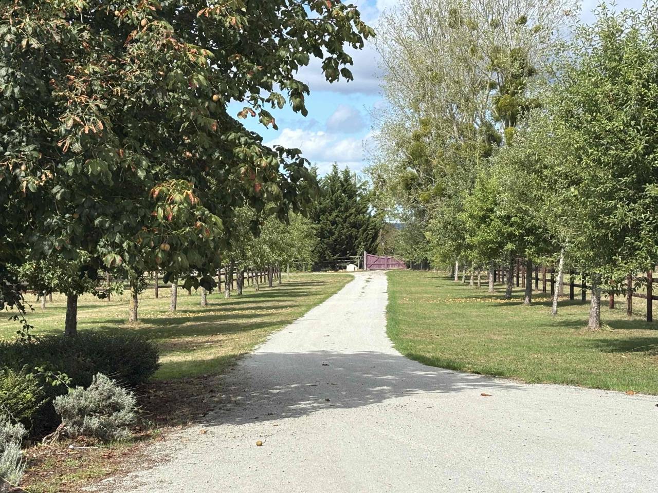 HARAS r&eacute;cent env. 26 ha, id&eacute;alement situ&eacute;.