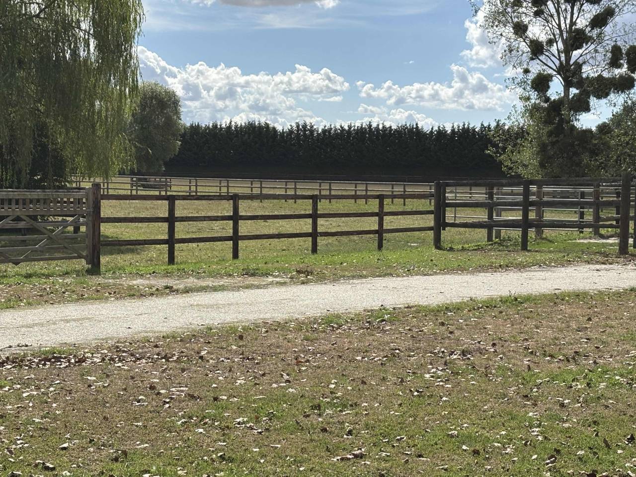 HARAS r&eacute;cent env. 26 ha, id&eacute;alement situ&eacute;.