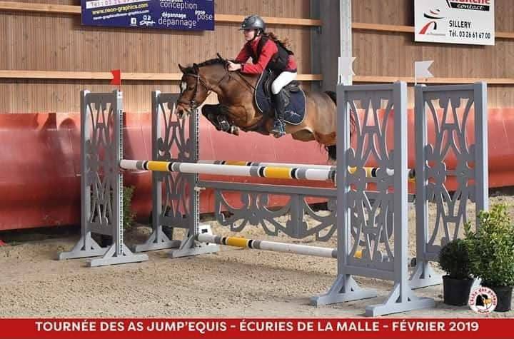 Pouliche PFS 1 an maxi C par Very Star Kerveyer