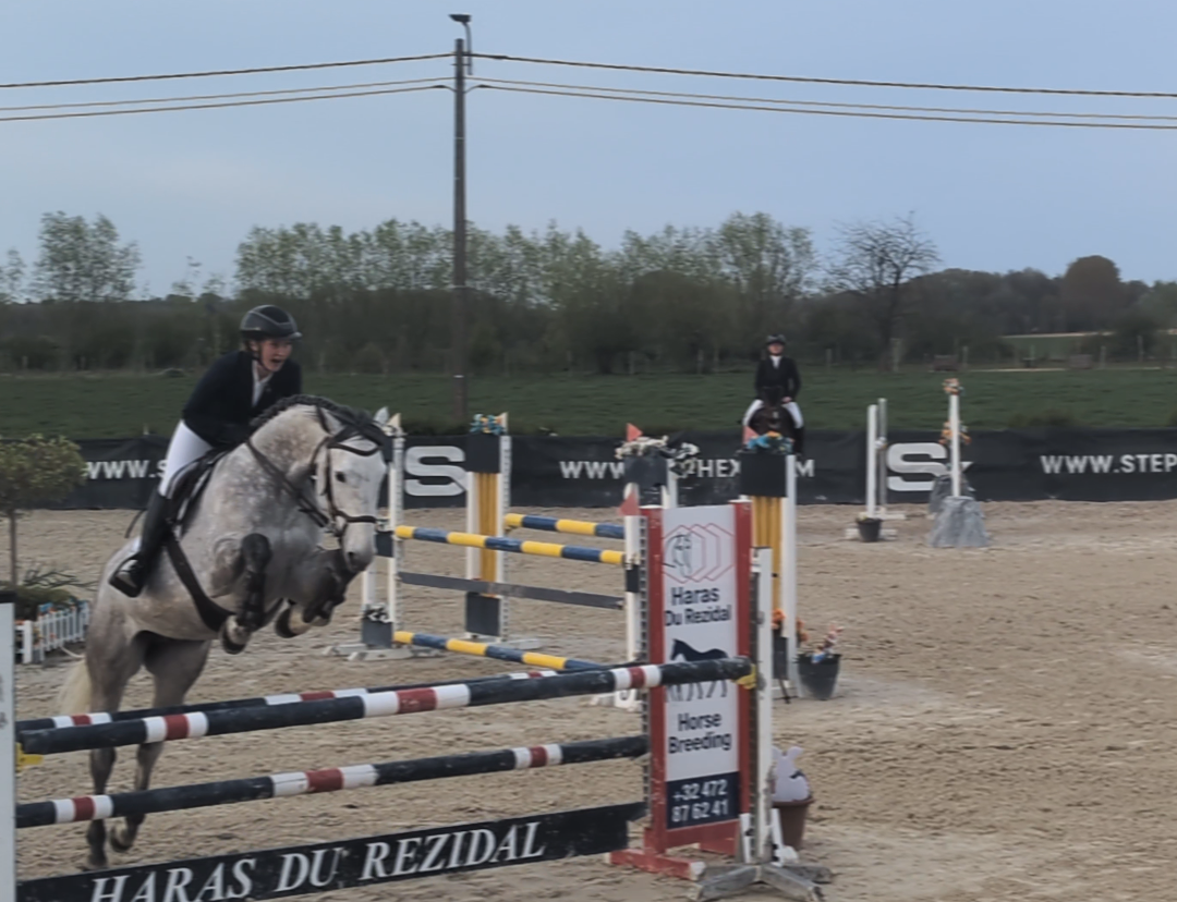 Bwp de 7 ans &agrave; vendre