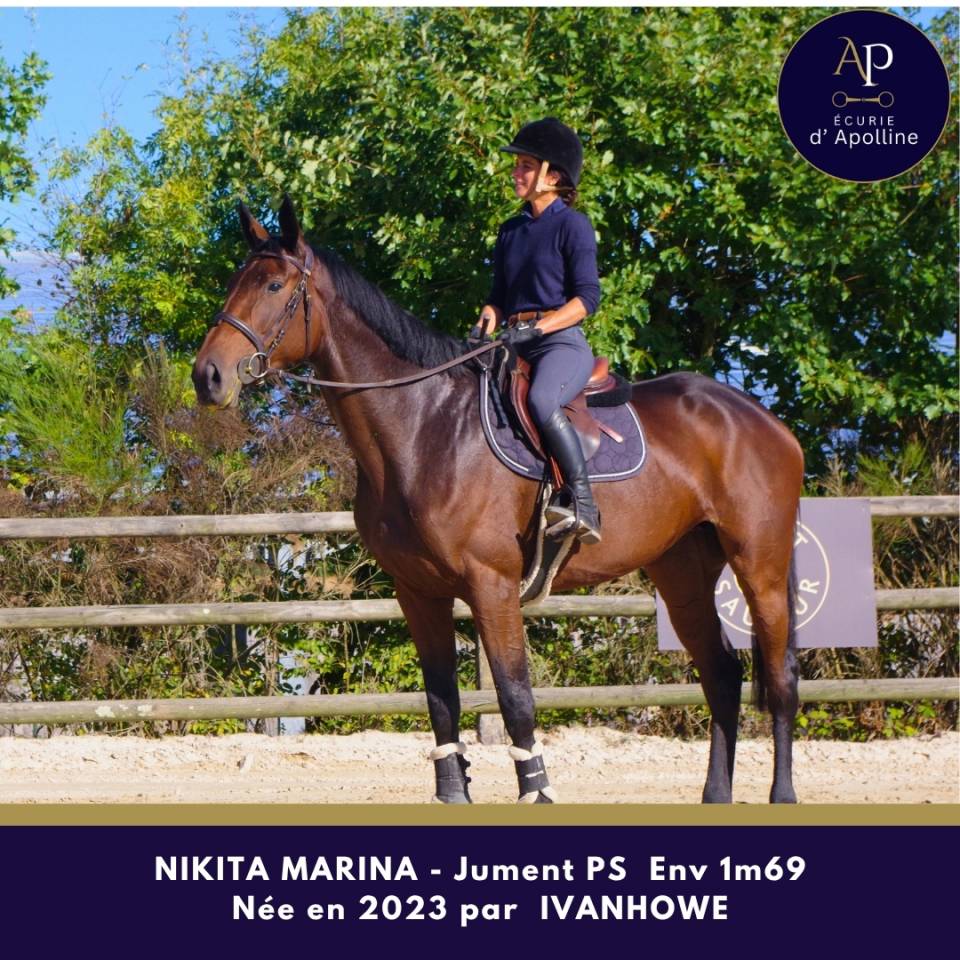 Superbe jument 3 ans top locomotion famille obstacle