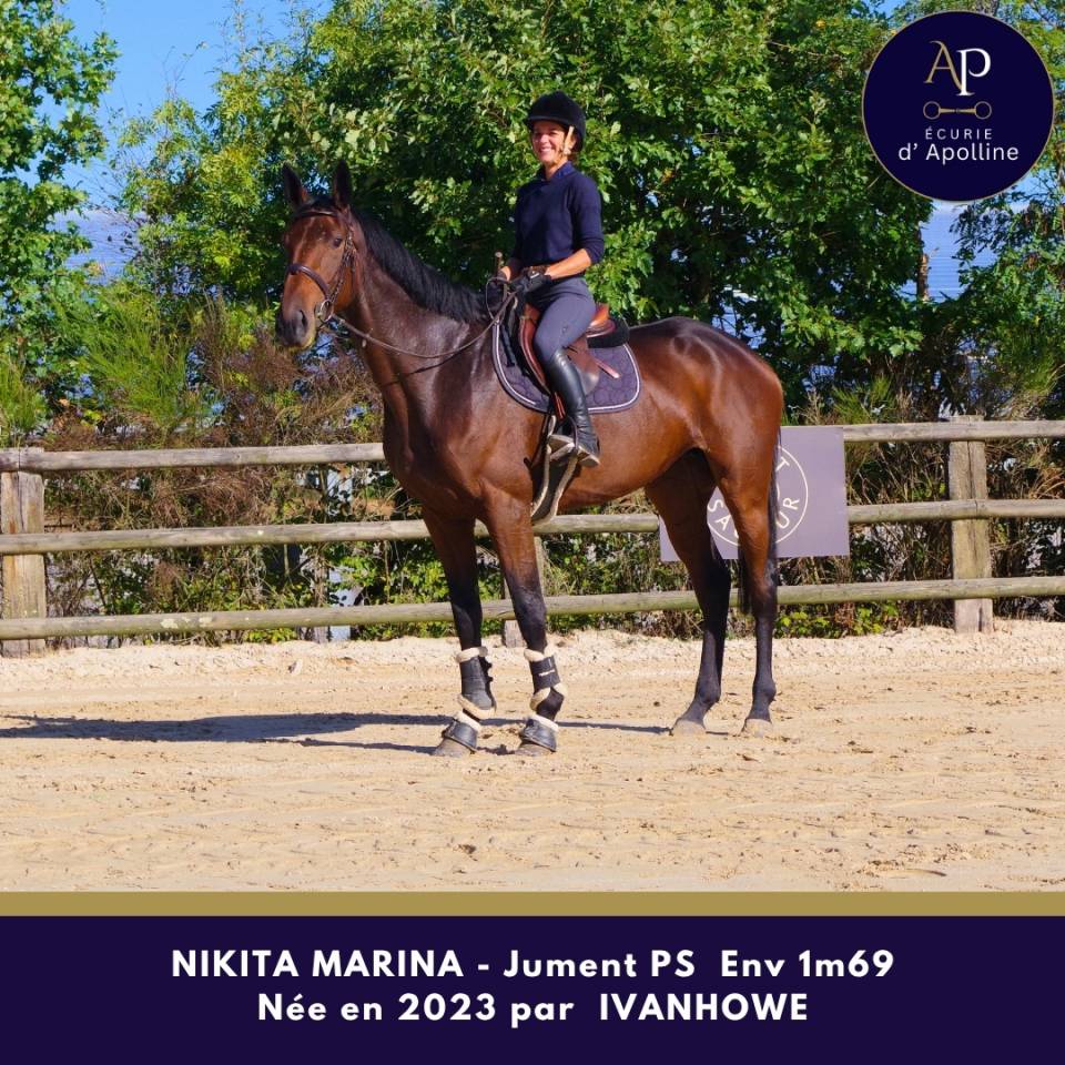 Superbe jument 3 ans top locomotion famille obstacle