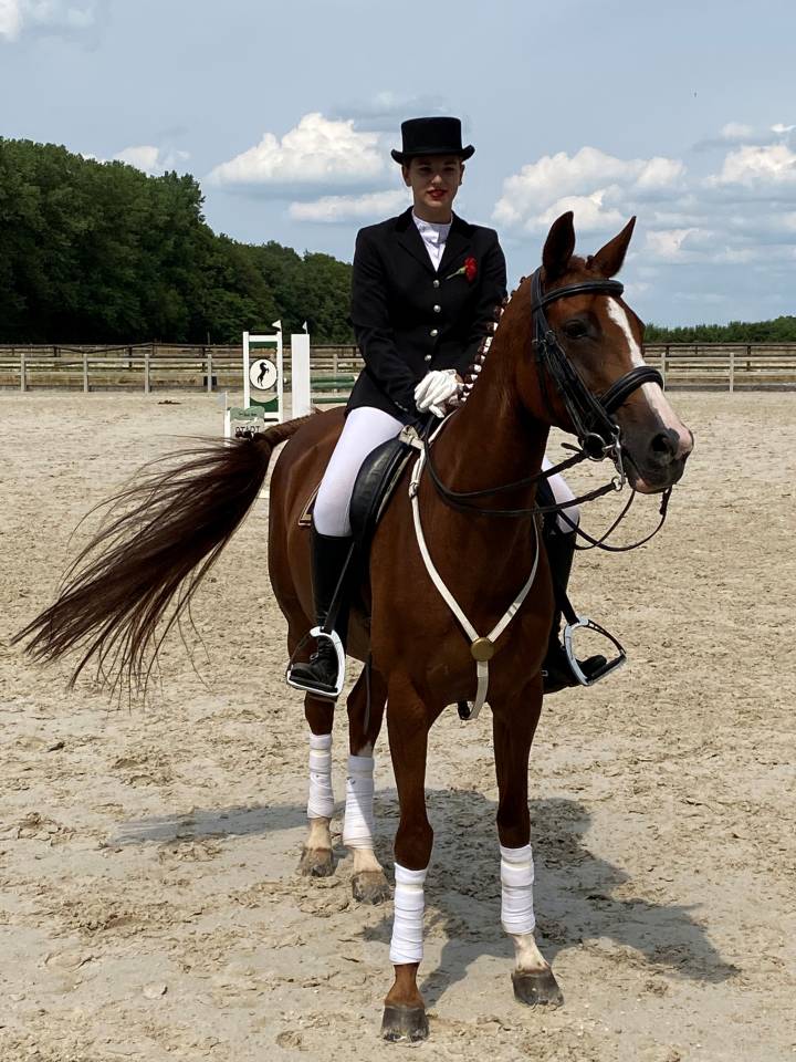 Feniki &mdash; Jument de 16 ans &mdash; 1,67 m &mdash; 6 500 &euro;