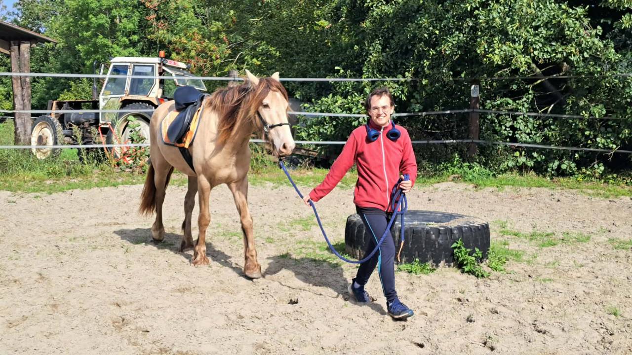 Poney hongre champagne de 3 ans 