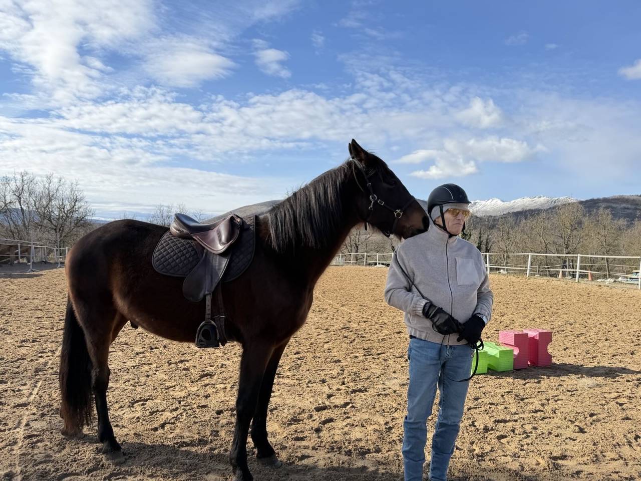 &Agrave; vendre hongre trotteur fran&ccedil;ais - 8 ans - 1.68m