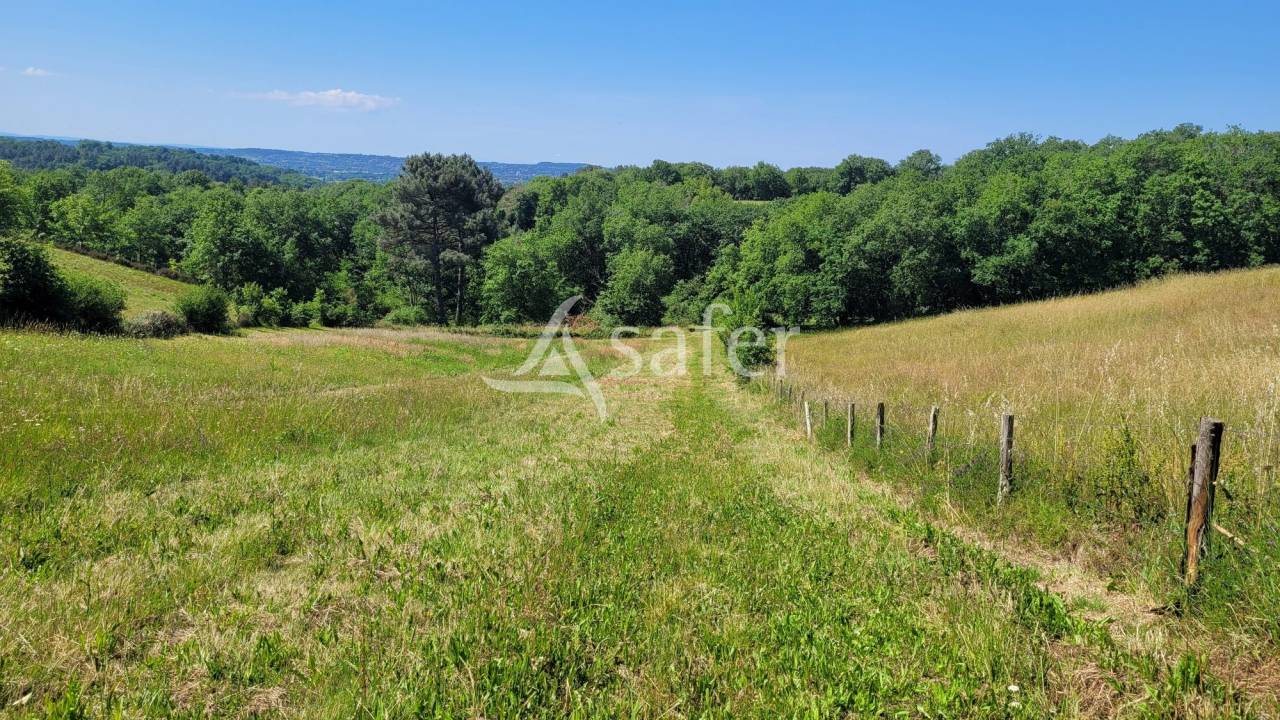 Propri&eacute;t&eacute; &eacute;questre Albi 8ha