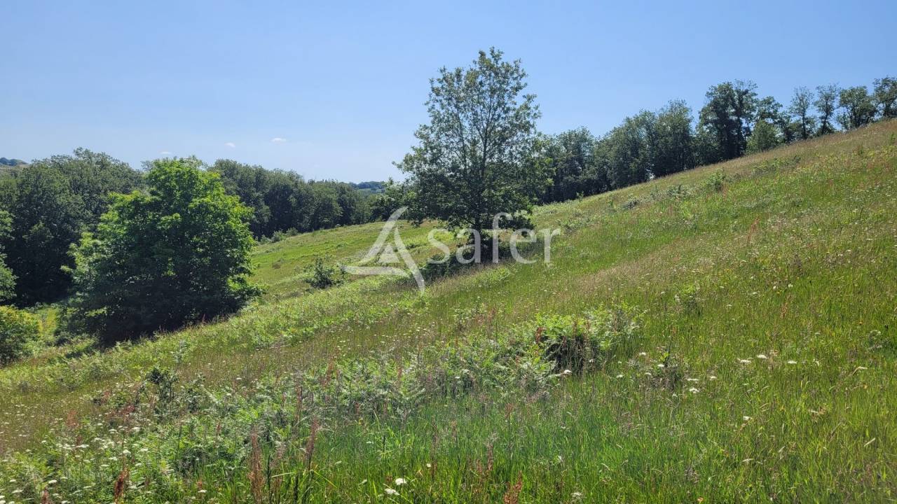 Propri&eacute;t&eacute; &eacute;questre Albi 8ha