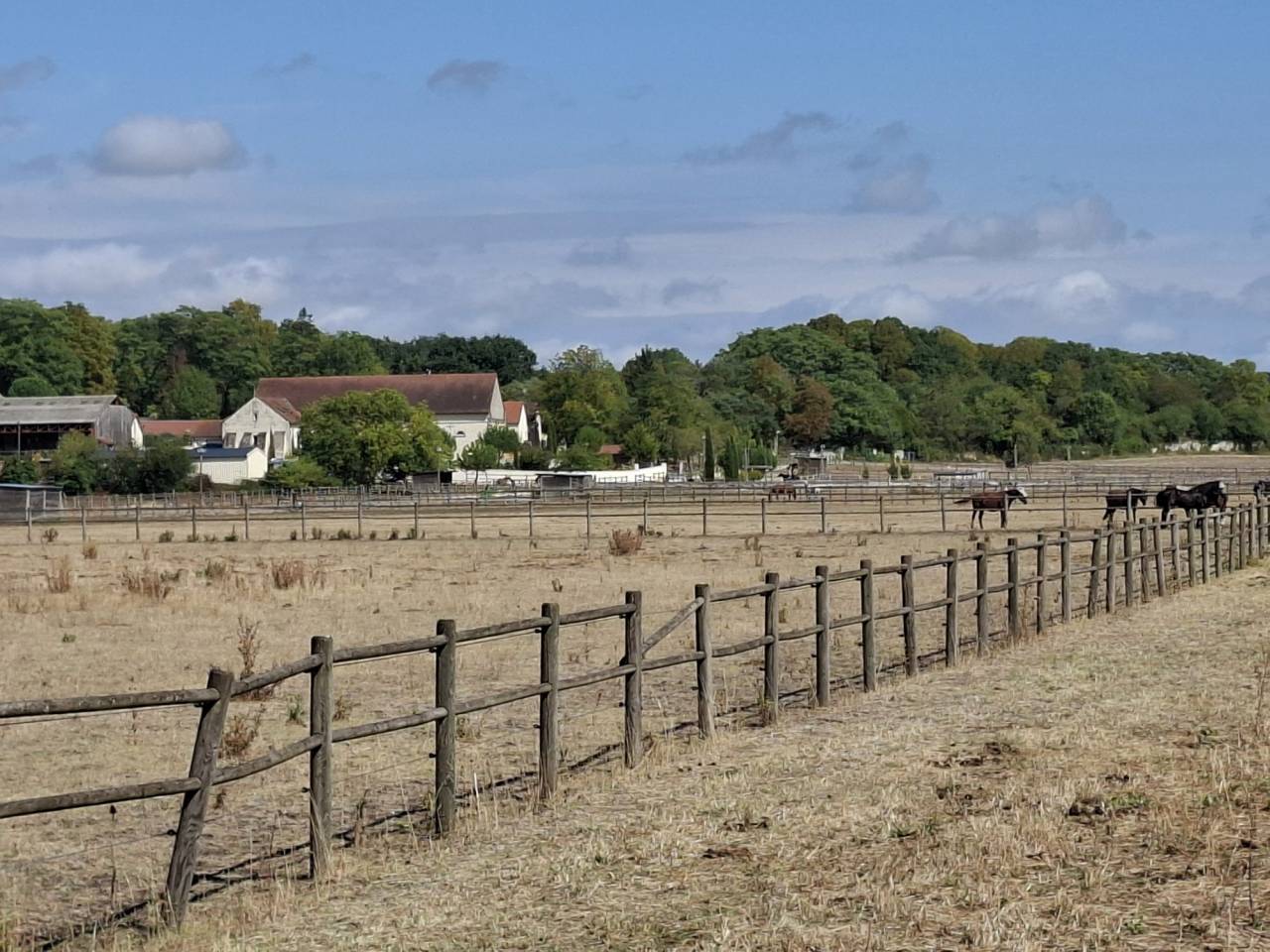 DOMAINE &Eacute;QUESTRE  INSTALLATIONS PROFESSIONNELLES  VIENNE