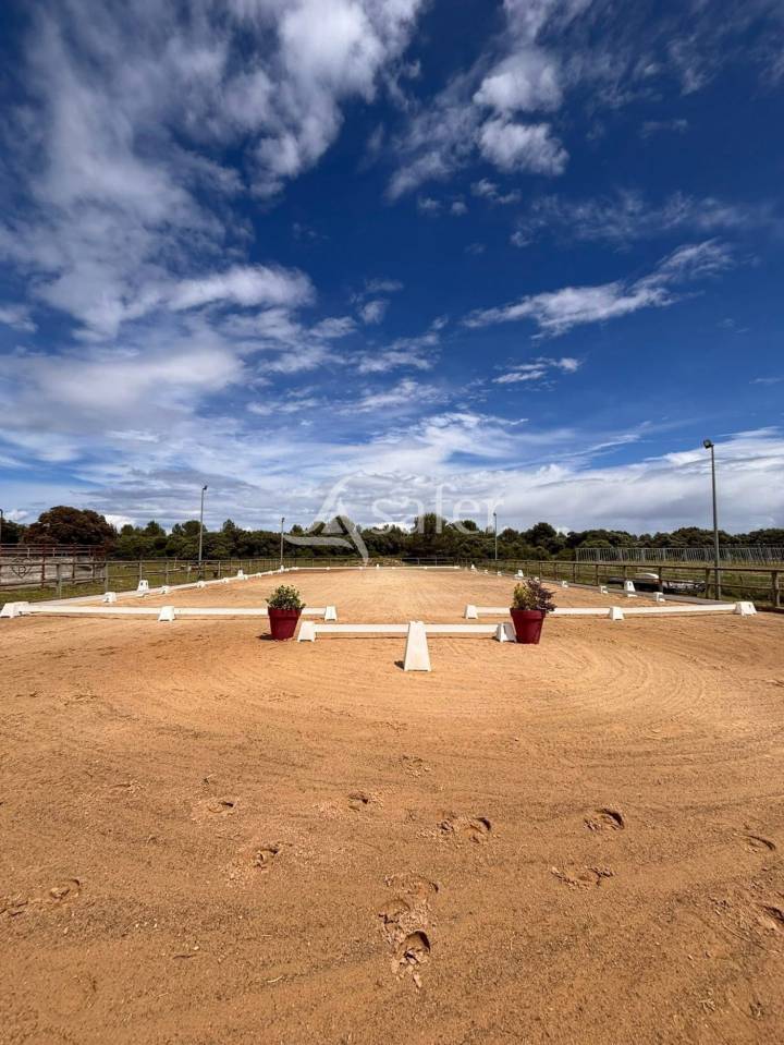 Montpellier EST : Domaine &eacute;questre 16ha  Opportunit&eacute; - empl