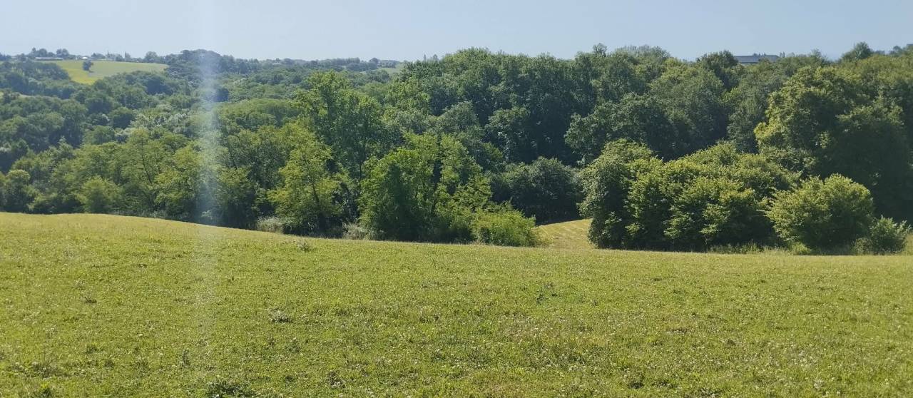 Propri&eacute;t&eacute; &eacute;questre de caract&egrave;re sur 17 ha
