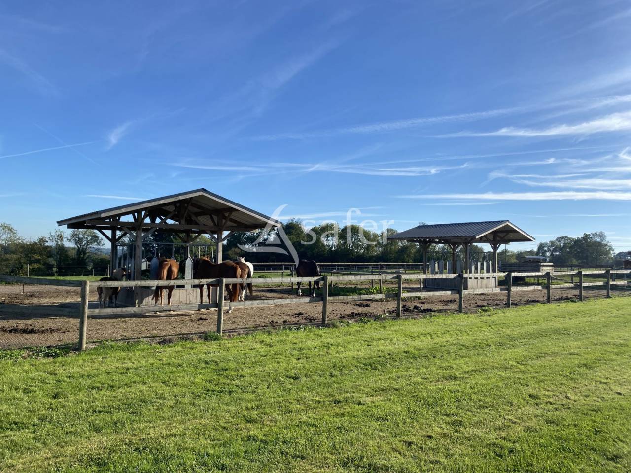 Ecurie pour chevaux de Sport - C&ocirc;te Fleurie