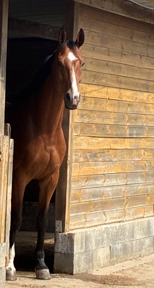 A confier ou &agrave; vendre