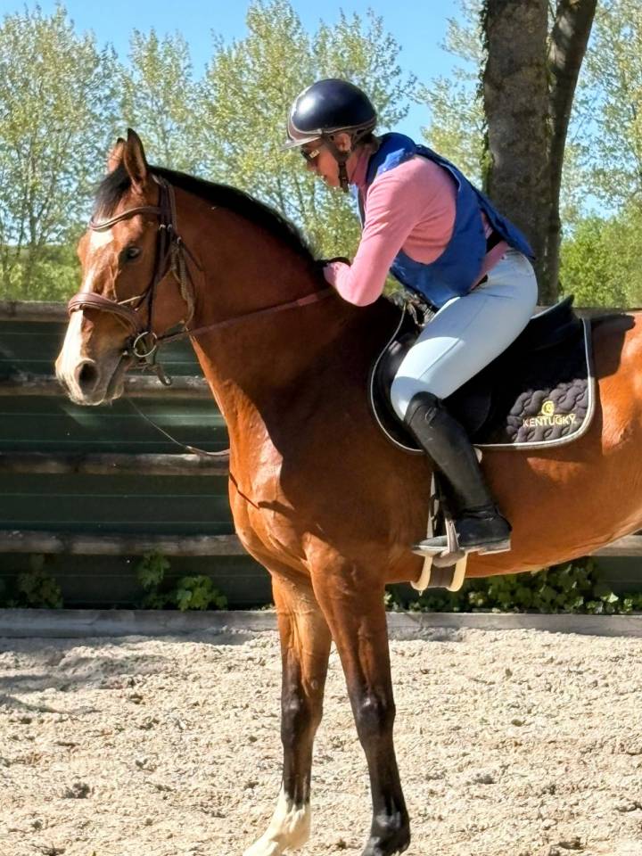 A confier ou &agrave; vendre