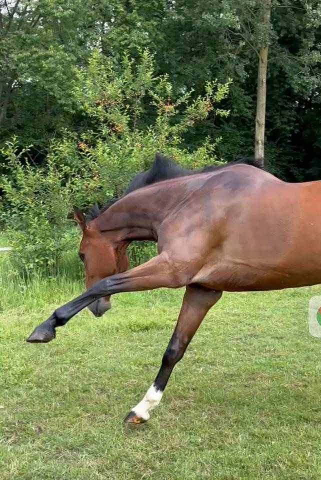 A confier ou &agrave; vendre