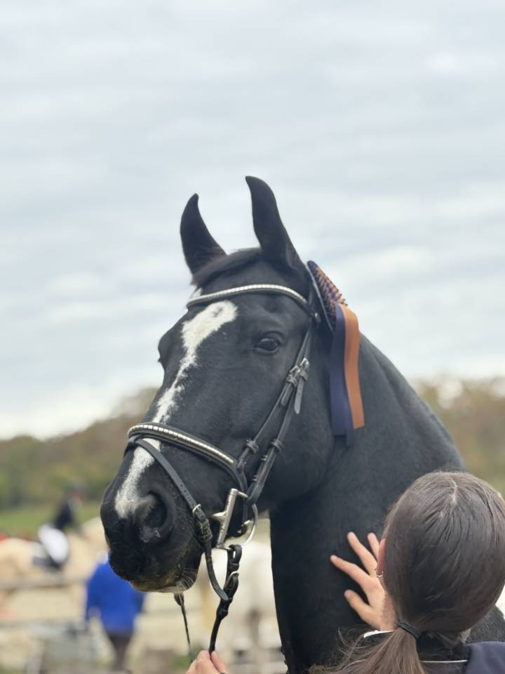 Barok Pinto 8 ans 