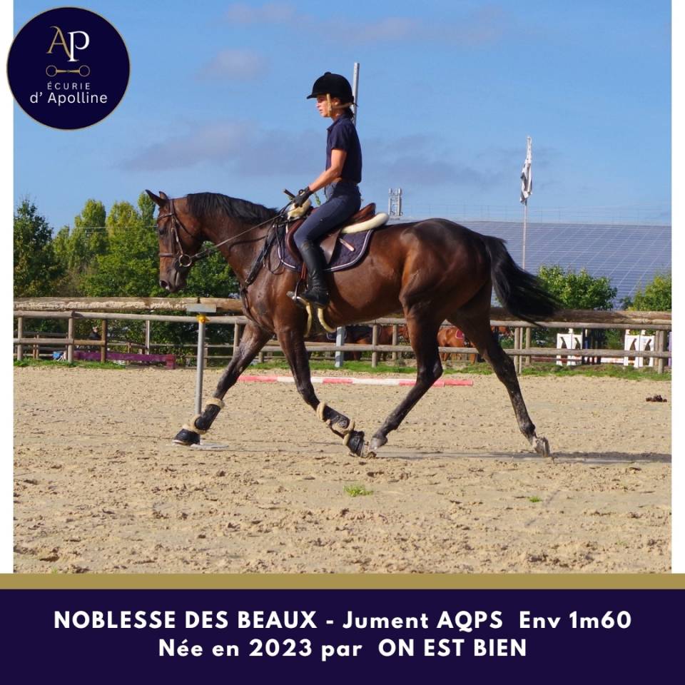 superbe jeune AQPS