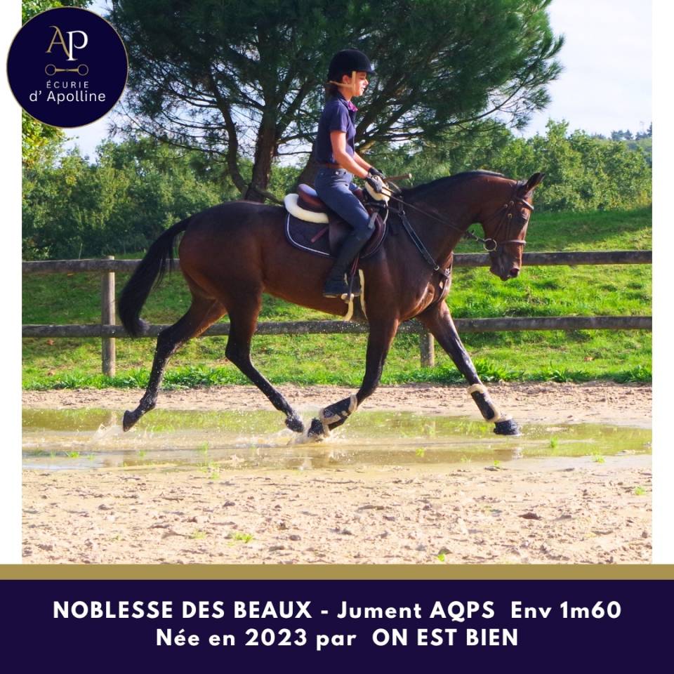 superbe jeune AQPS