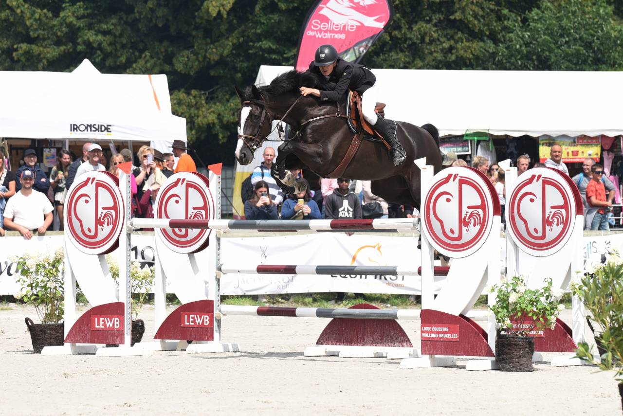Hongre CSO noir 12 ans niv. 130-135cm