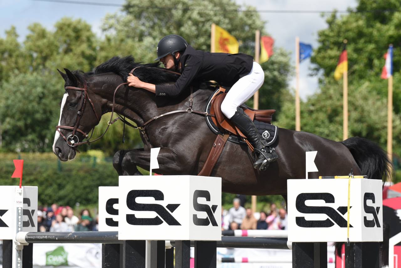 Hongre CSO noir 12 ans niv. 130-135cm