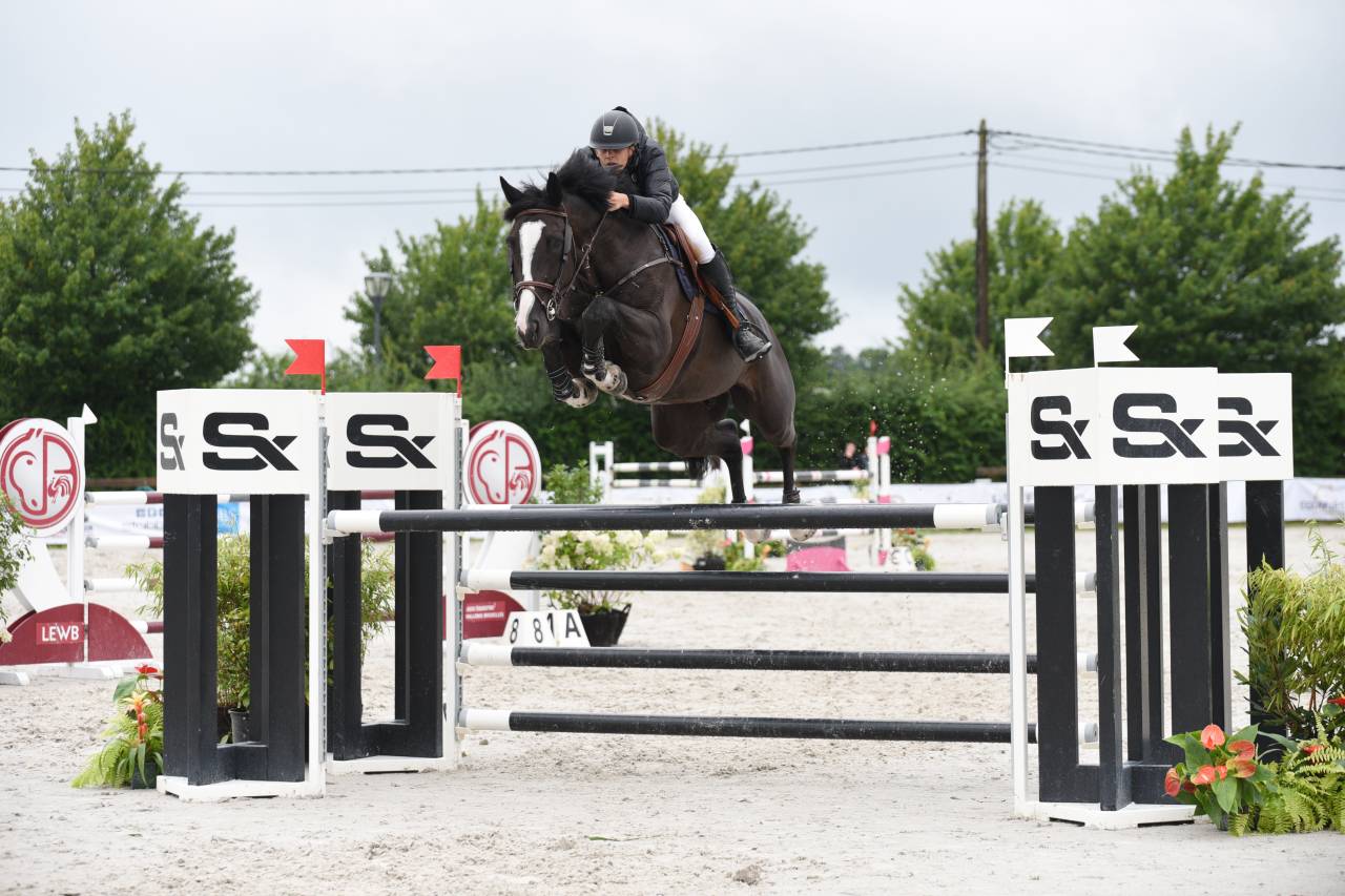 Hongre CSO noir 12 ans niv. 130-135cm