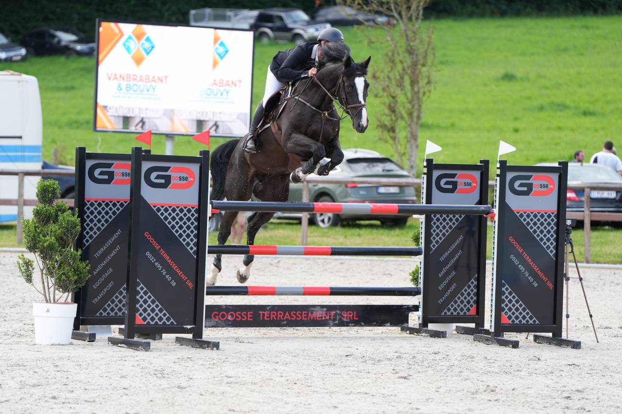 Hongre CSO noir 12 ans niv. 130-135cm