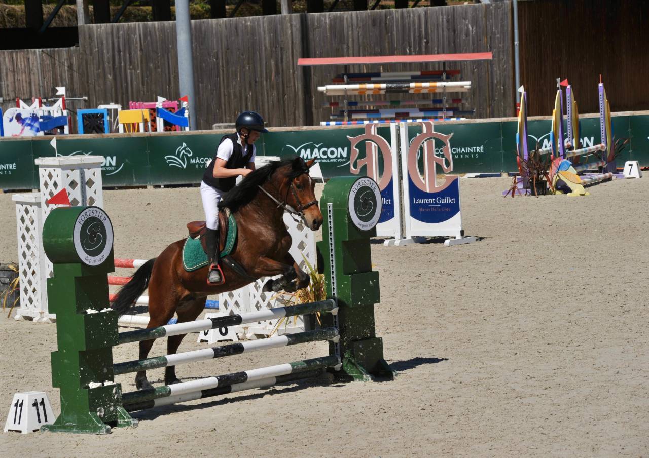 Vends ponette de concours new forest