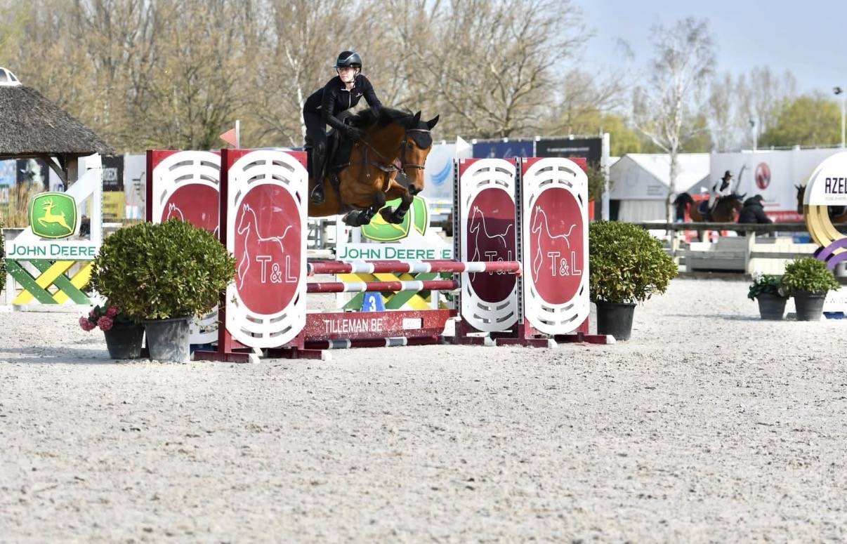 QUENELLE D'ARCHONFOSSE, 10Y, Jument&nbsp;CSO