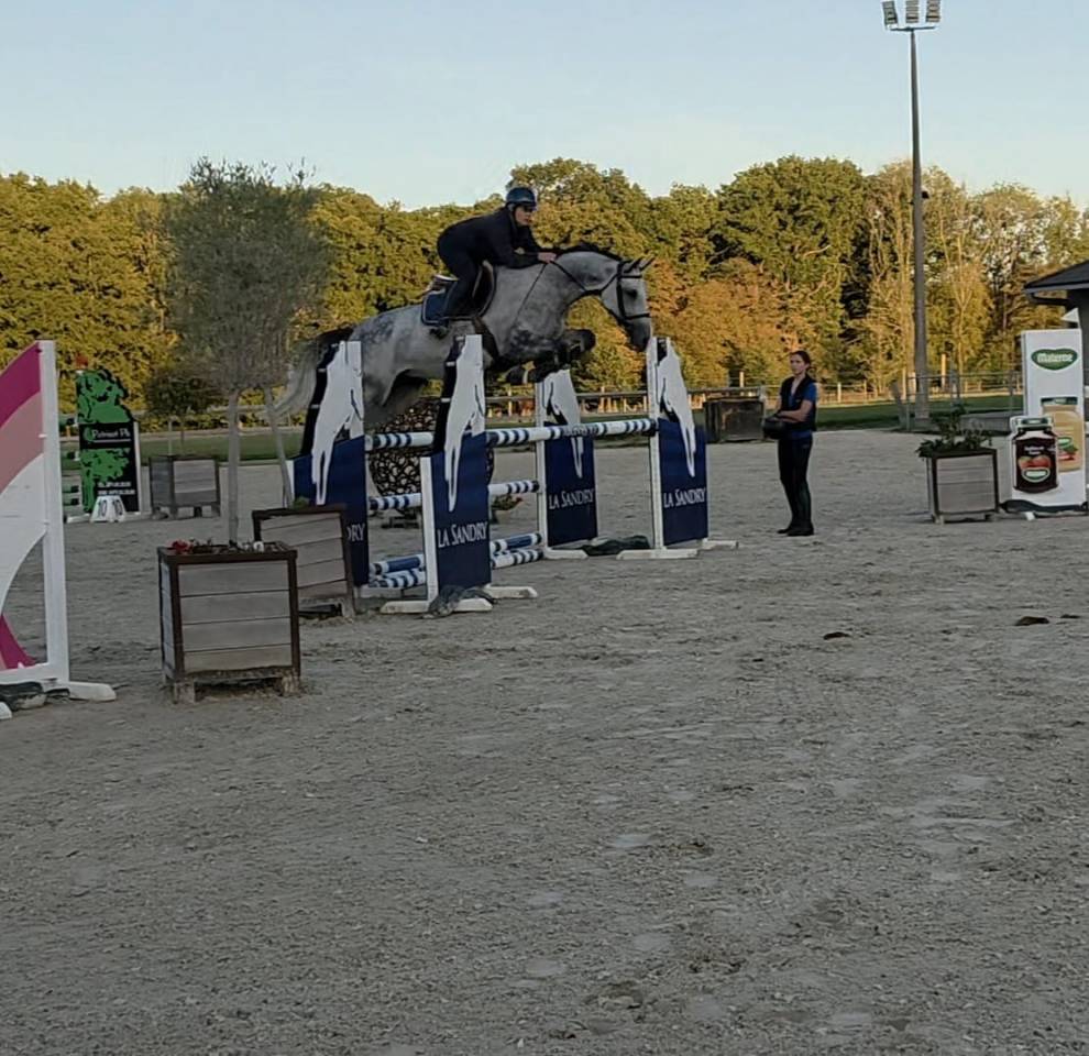 Jument de 6 ans sport 