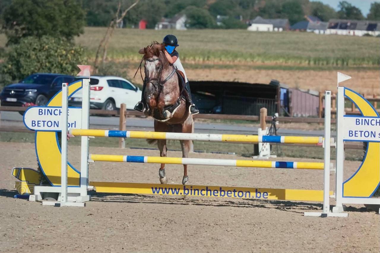 Poney D de 9 ans pour 110cm et plus
