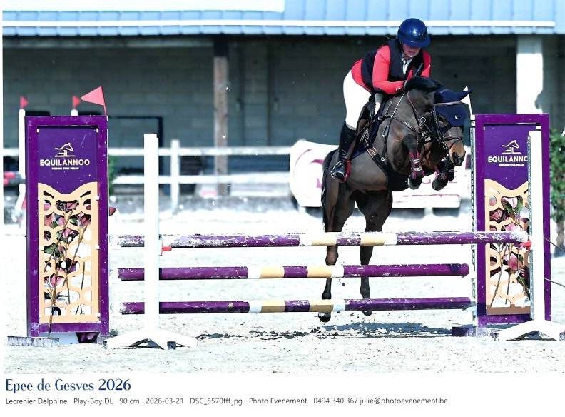 Poney de 5 ans
