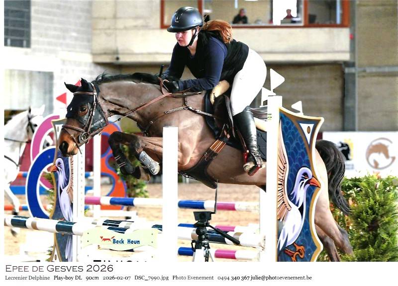 Poney de 5 ans