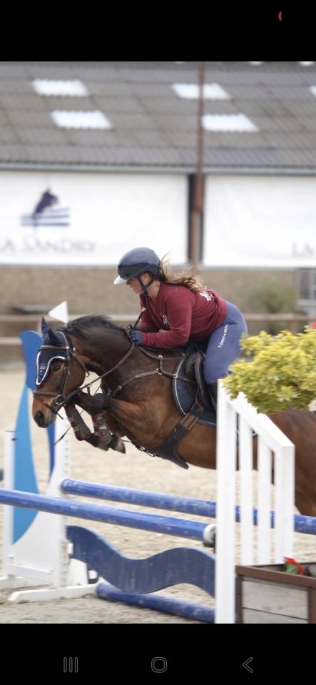 Poney de 5 ans