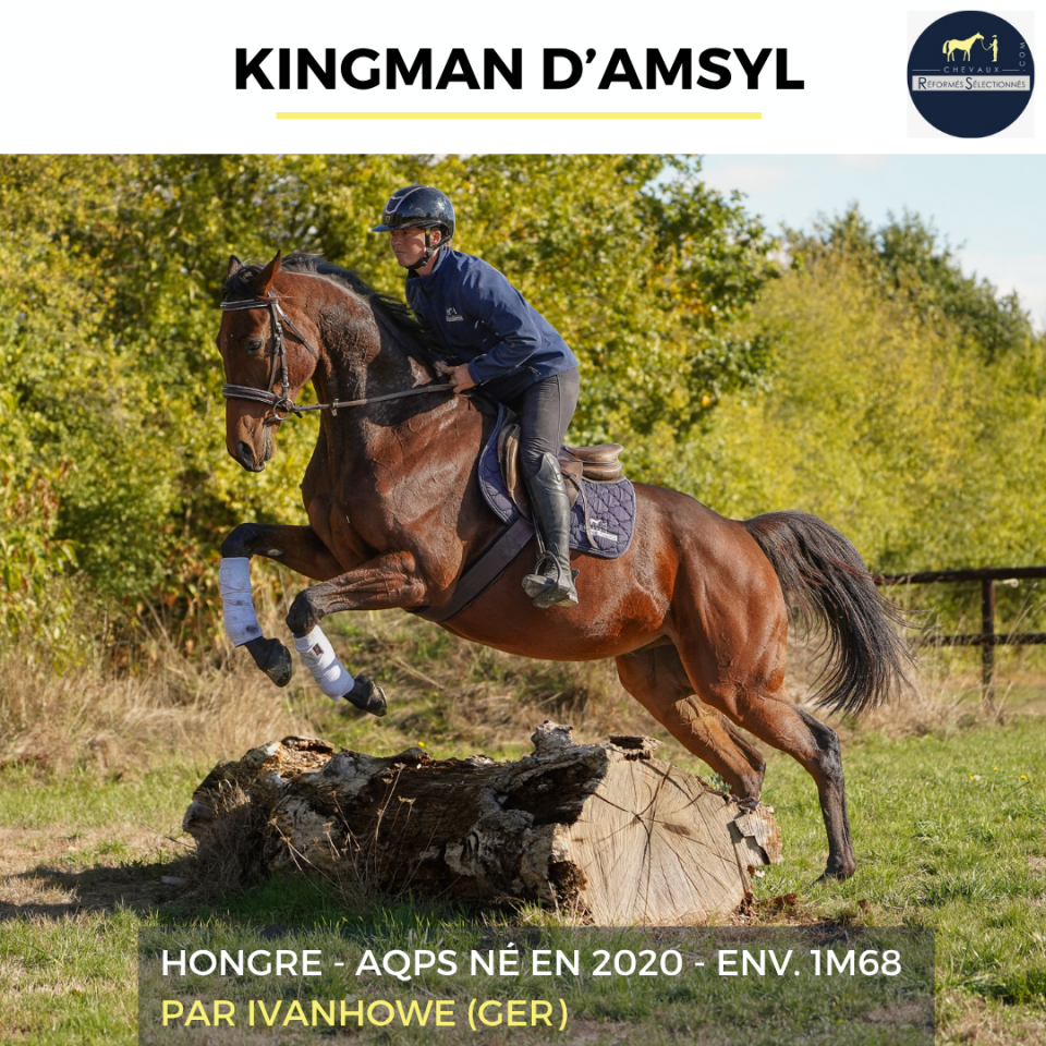 KINGMAN D'ASMYL