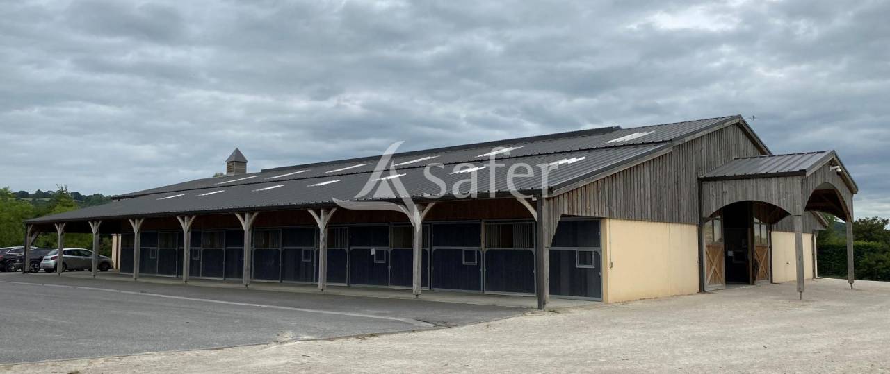Haras d'&eacute;levage - Pays d'Auge