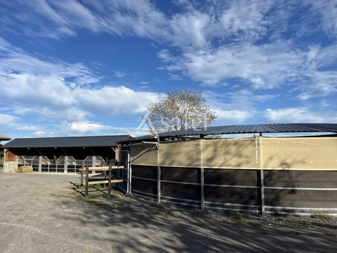 Centre d'entrainement trotteur - Pays d'Auge