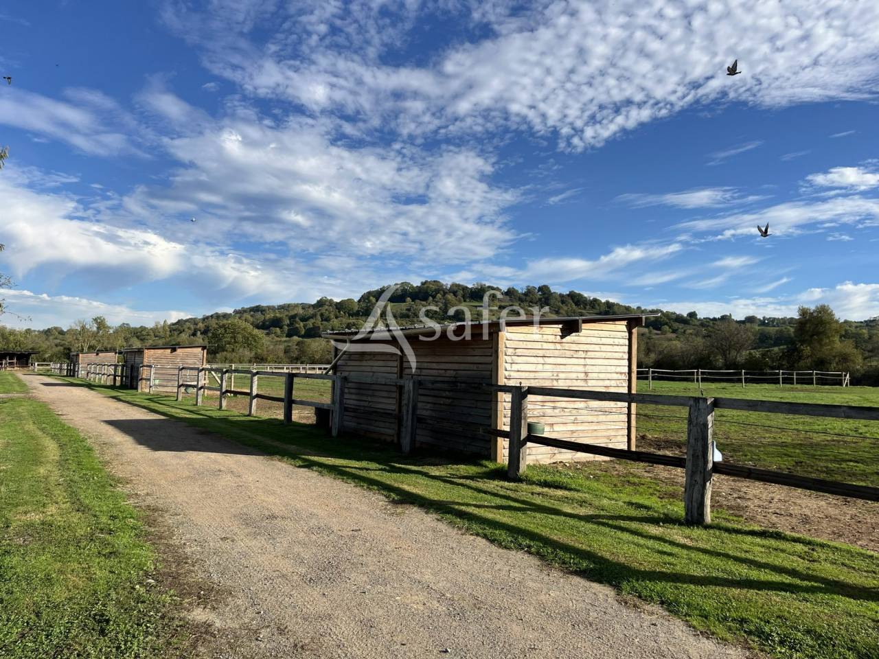 Centre d'entrainement trotteur - Pays d'Auge
