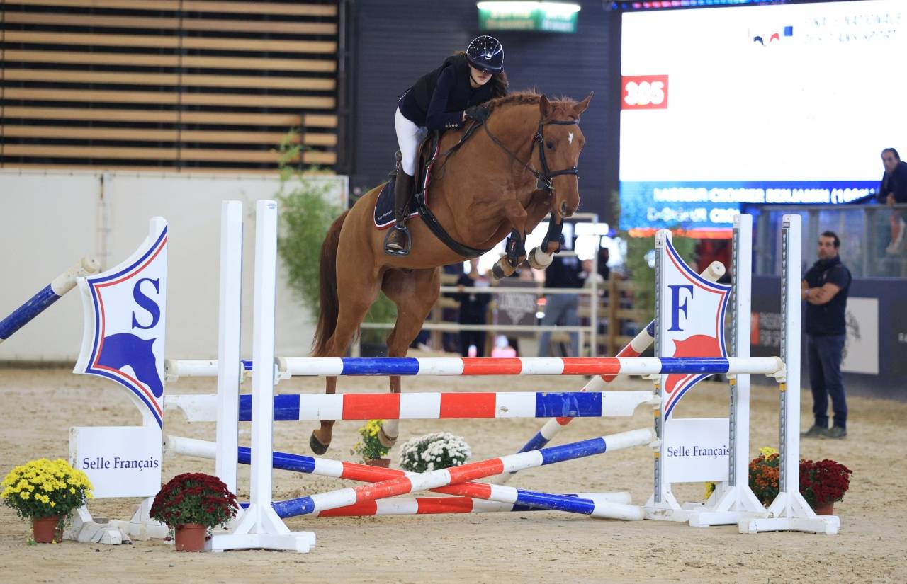  ? &Agrave; LA RECHERCHE DE VOTRE FUTUR CHEVAL DE SPORT ?
