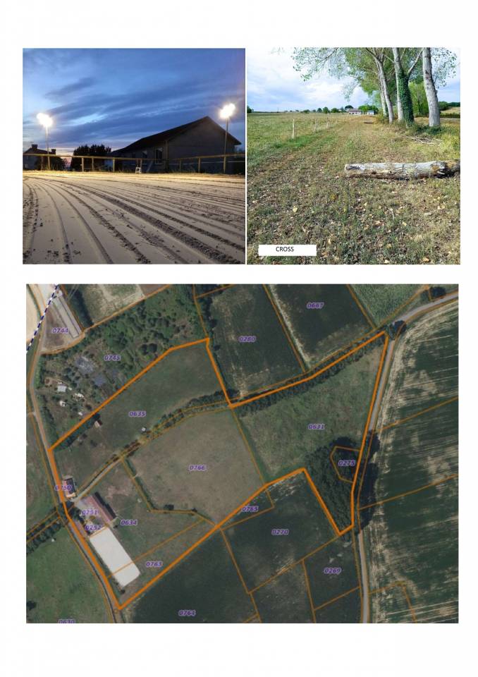 Vente propri&eacute;t&eacute; &eacute;questre avec g&icirc;te, 5ha