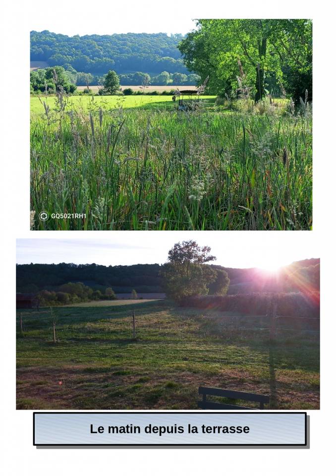 Vente propri&eacute;t&eacute; &eacute;questre avec g&icirc;te, 5ha