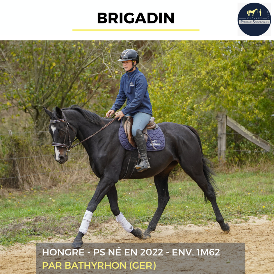 BRIGADIN - PS - 4 ANS