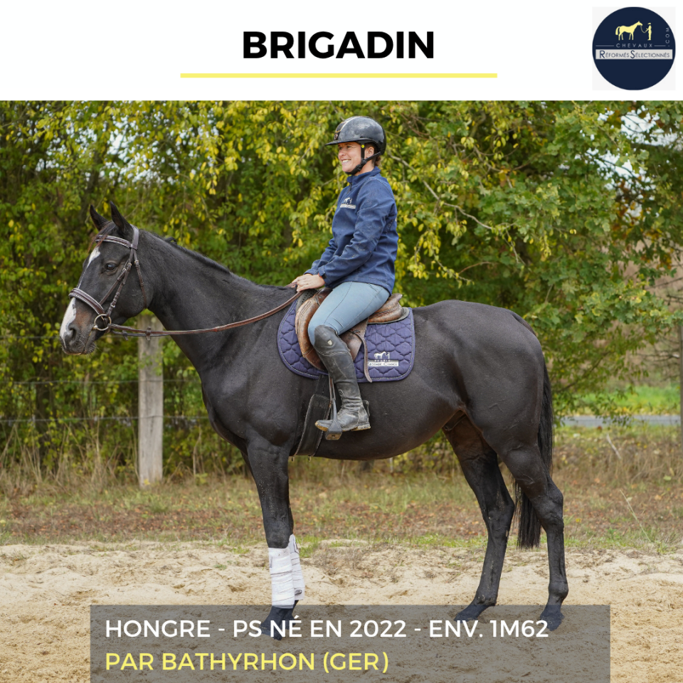BRIGADIN - PS - 4 ANS