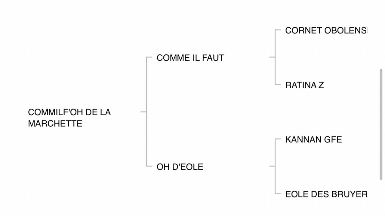 Pouliche BWP 