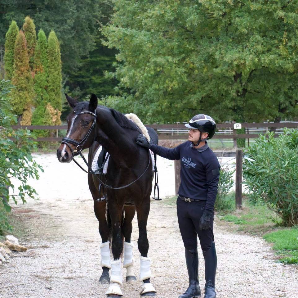 Jeune cheval de dressage Kwpn 
