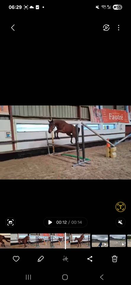 Ponette comme il faut x nabab 