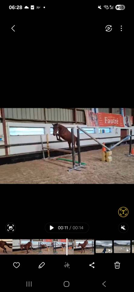 Ponette comme il faut x nabab 