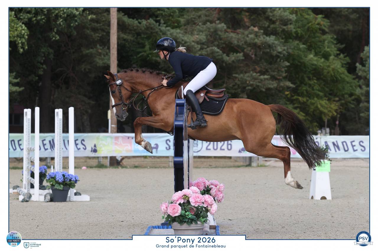 Poney CSO comp&eacute;titif, 5 ans en 2027